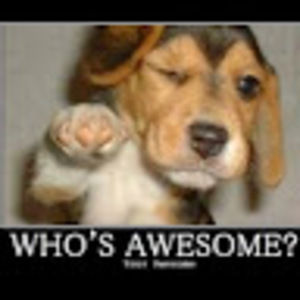 Meet your Posher, Sean